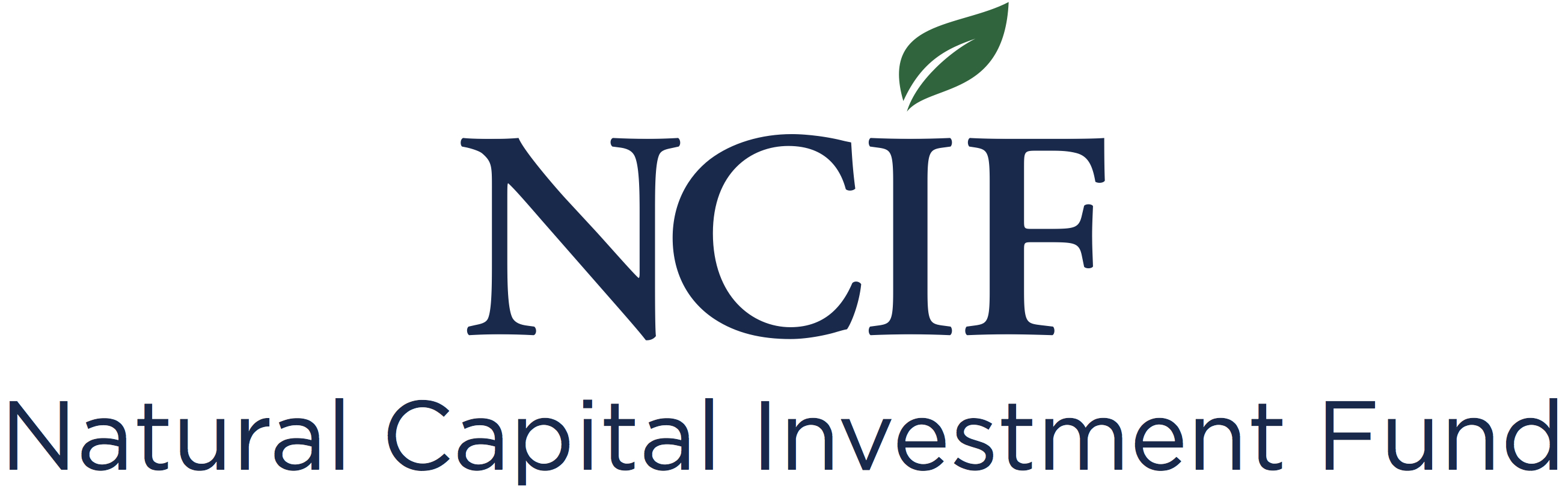 NCIF-logo-with-name-300dpi.jpg